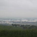 Hochwasser in Ottensheim und Walding 04.06.2013