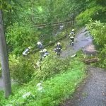 Sturmschaden im Kleinen Rodltal 19.08.2017