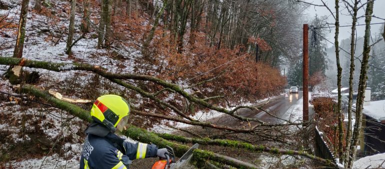 Baum blockierte die Rodlstraße