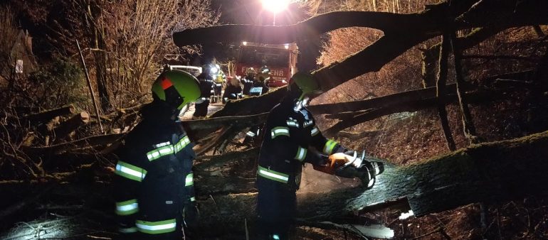 Sturmbö warf Bäume auf Rodlstraße