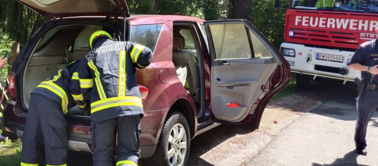 Fahrzeugbrand in der Rodlstraße