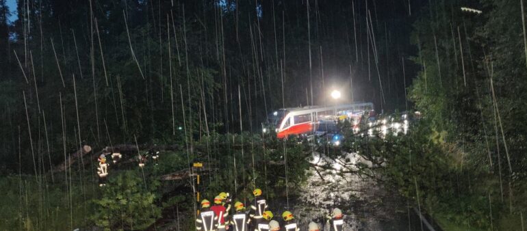 Gewitter warf Bäume über Bahngleise und Straße